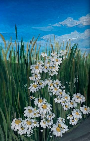 Margherite 10x15