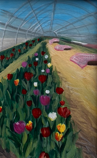 Tulips 10x15